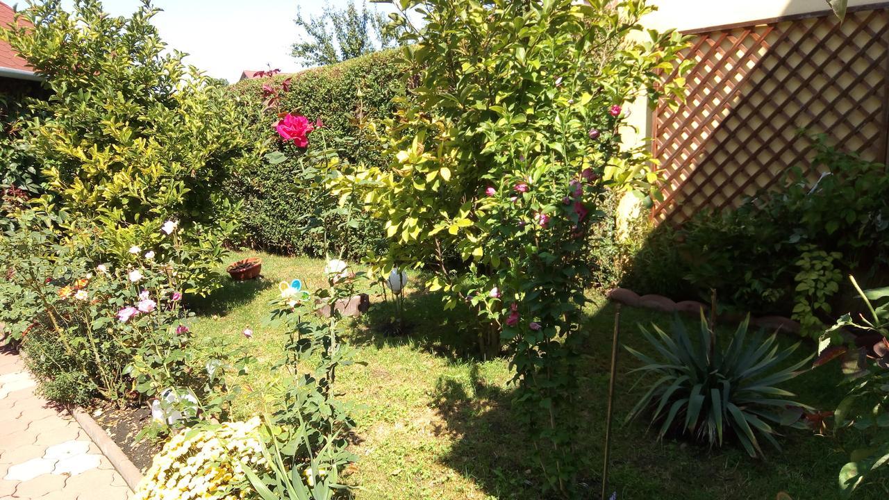 Pensiunea Magnolia Sibiu Exteriör bild