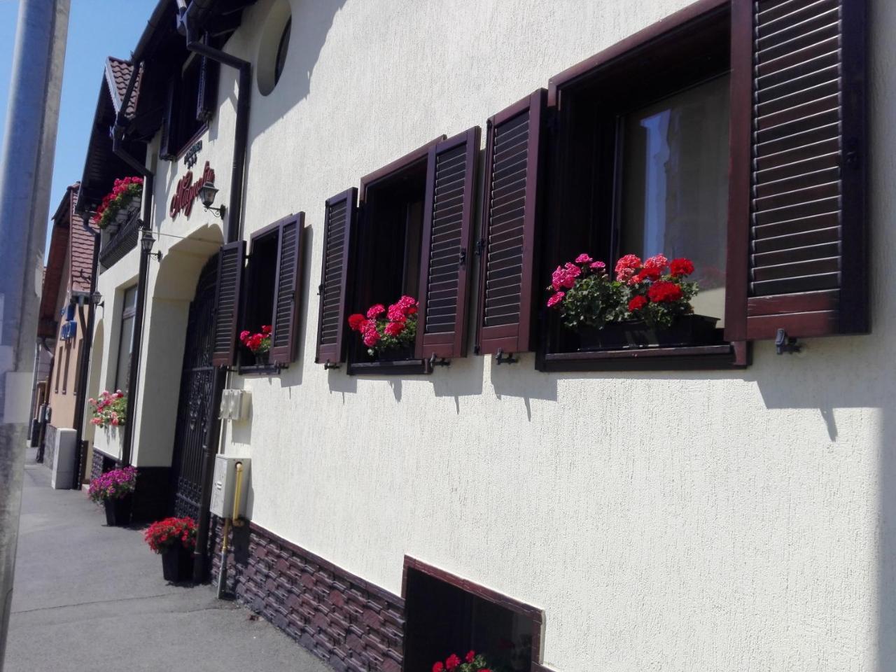 Pensiunea Magnolia Sibiu Exteriör bild