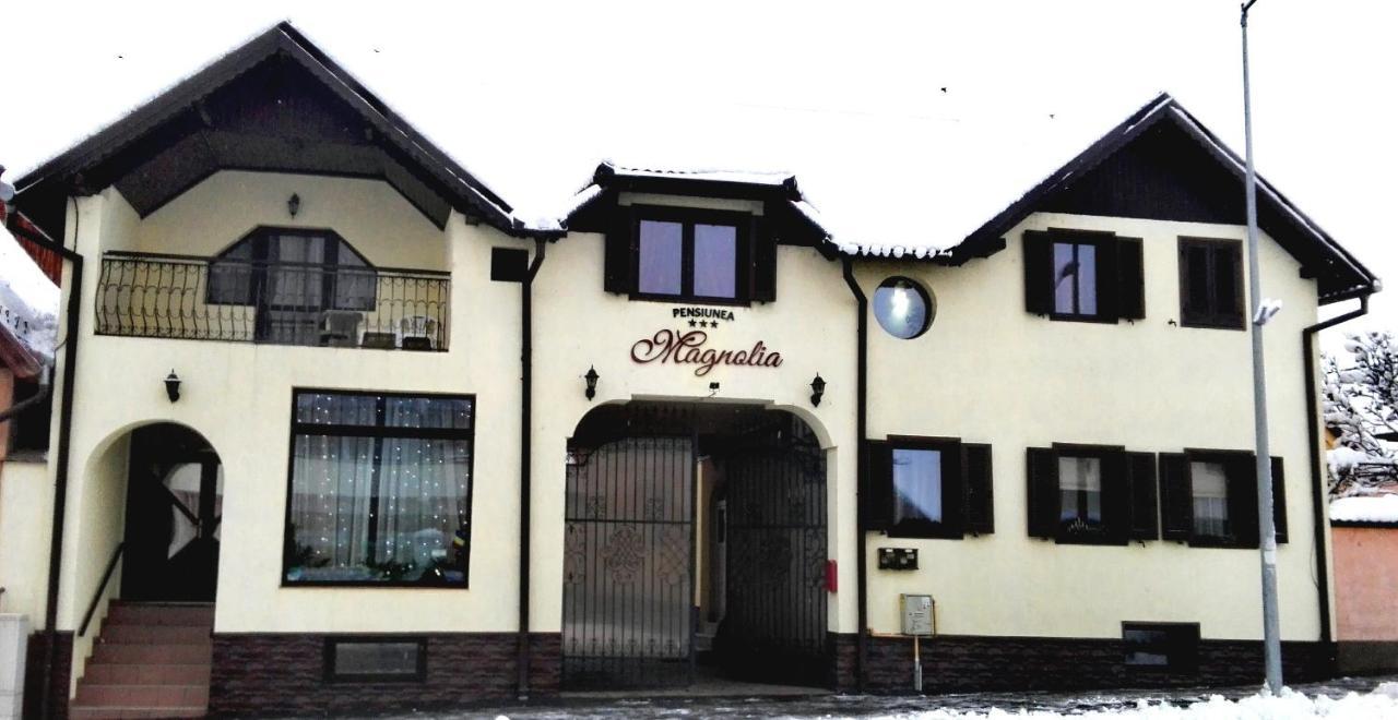 Pensiunea Magnolia Sibiu Exteriör bild