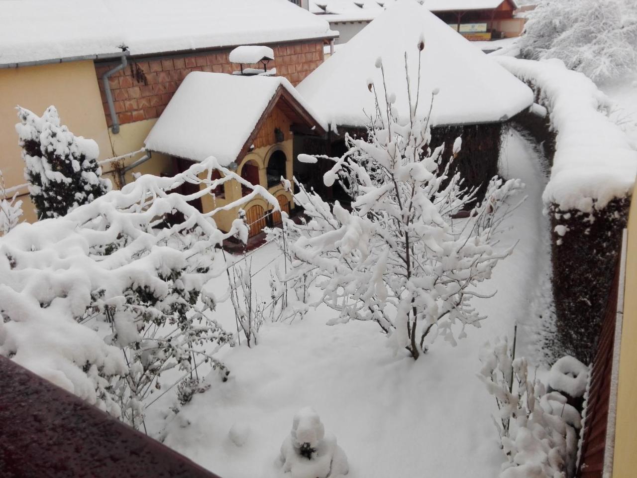 Pensiunea Magnolia Sibiu Exteriör bild
